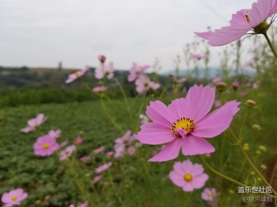 【帶著手機去撒歡兒】——山中之行