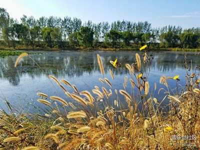 【帶著手機(jī)去撒歡兒】陽光暖暖，去稻田里看孫悟空三打白骨精