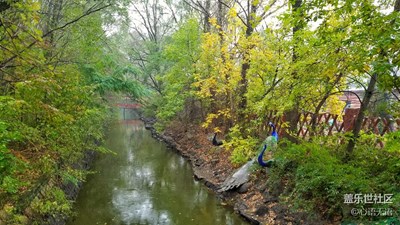 【別樣國(guó)慶】盤(pán)錦，雨中游太平河濕地