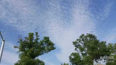 【帶著手機(jī)去撒歡】論一個(gè)廢宅