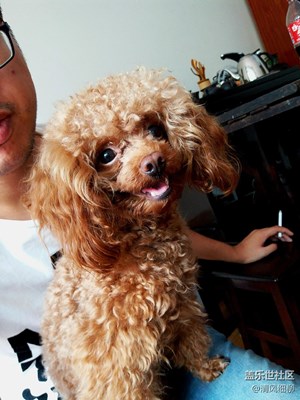 國慶之旅————————三星C5撿漏拾荒啃“雞肋”