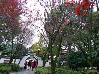 蜀人尋祖到望叢