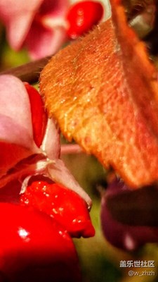 規(guī)矩是用來破的，經(jīng)驗(yàn)是從創(chuàng)新發(fā)展來的。