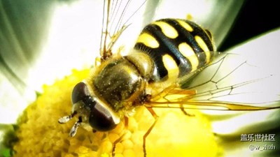 版主一表?yè)P(yáng)我就中午采風(fēng)忙。