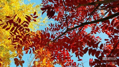 物質(zhì)、精神食量雙豐收