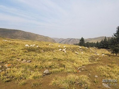 祁連山原生態(tài)牧場