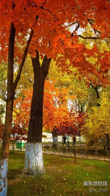 挑戰(zhàn)立版，不理想。