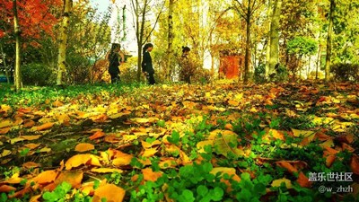 橫版平視習(xí)作