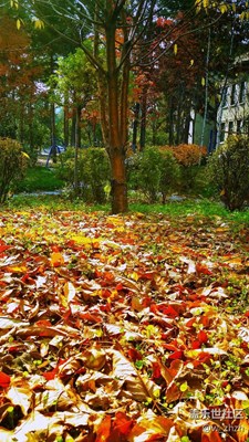 換個角度就出彩！