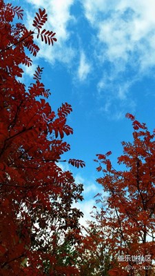 云永遠(yuǎn)是哪樣叫鏡頭著魔。