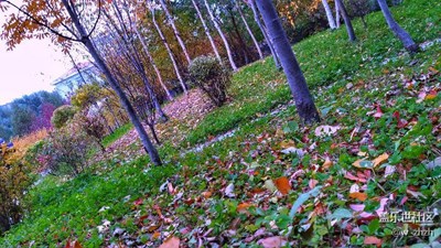 放膽這樣拍，笑不笑由你。????