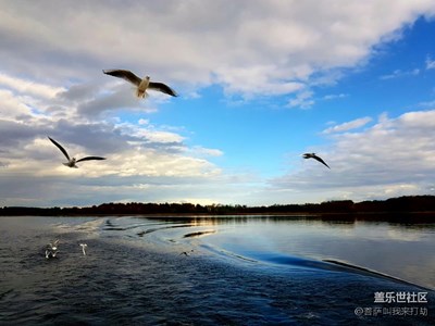 用S7e帶你看世界，基姆湖拜仁州的海