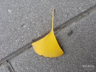 【一葉知秋】+北京+天壇秋意漸濃