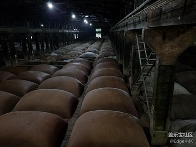 昨天的“我猜”揭曉答案（更新了一張）