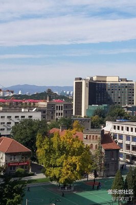 操場(chǎng)中間有顆樹(shù)