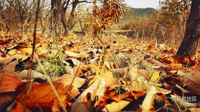 又進(jìn)山里了