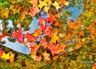 你們老說我一次發(fā)一張