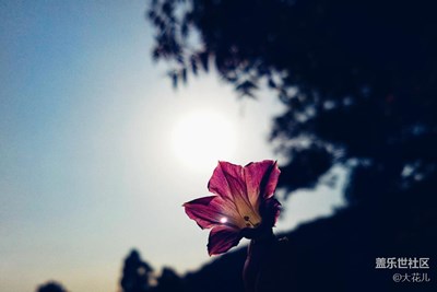 美好的季節(jié)～