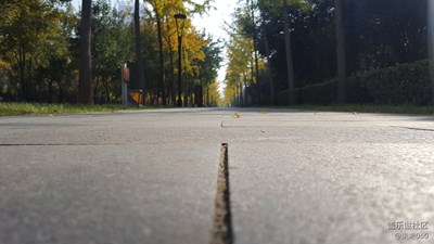 【一葉知秋】+西安+雨季