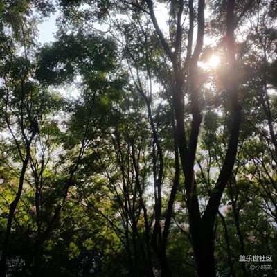 2016線下活動，上海站。