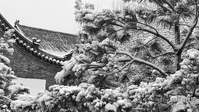 【黑白影像】+烏魯木齊+墨雪紛墜不染塵