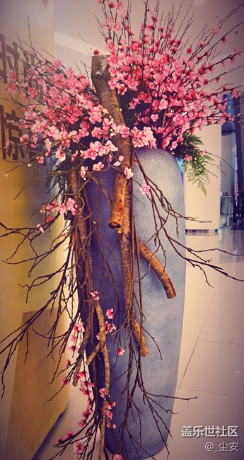 【攝影】日常隨拍，藝術(shù)之花