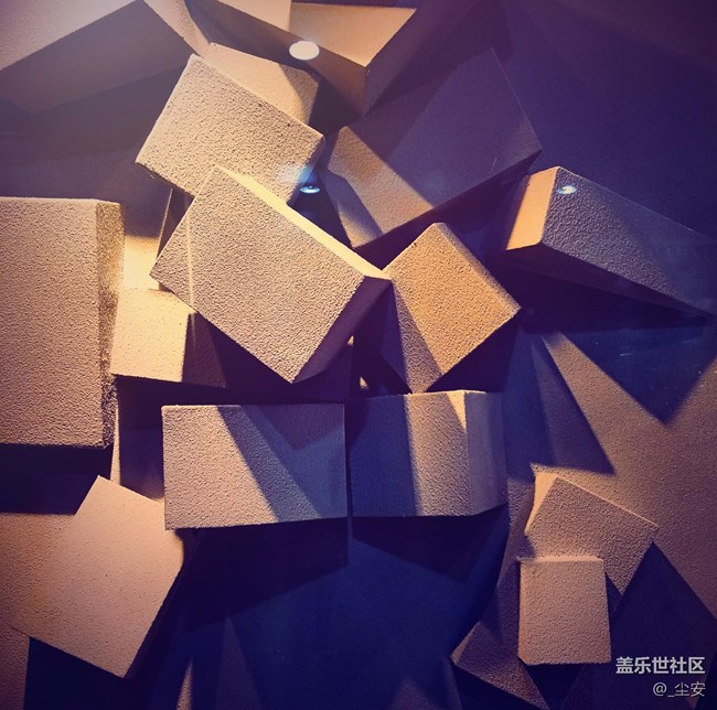 【攝影】日常隨拍，藝術(shù)之花