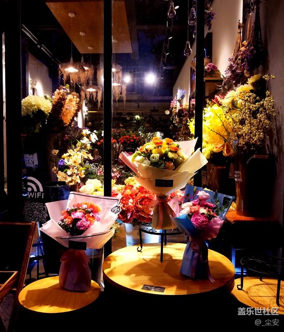 【攝影】日常隨拍，藝術(shù)之花