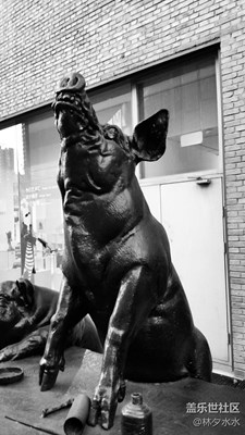 【黑白影像】+北京+隨拍