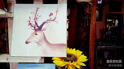 色彩，文藝，小資的小民宿