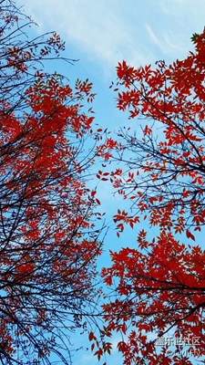 冬已來(lái)臨，方知秋