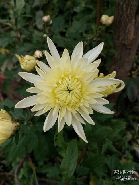 【On7體驗(yàn)】清新自如 有我On7