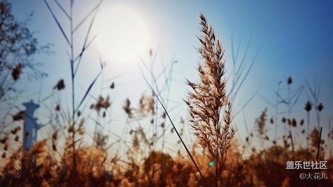 每周精帖匯【第30期：S7 edge粉藍不降溫 7.0初體驗來襲！】