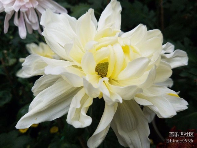 每周精帖匯【第30期：S7 edge粉藍不降溫 7.0初體驗來襲！】