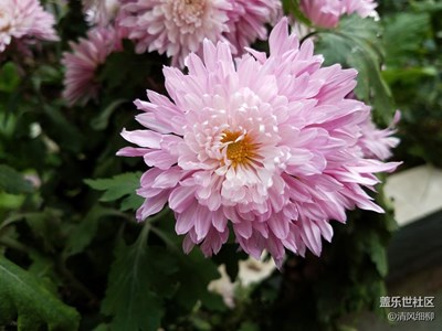 再發(fā)手機(jī)原圖看有沒(méi)有信息？