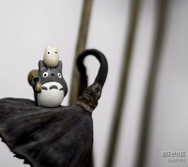 蓋樂世社區(qū)翻頁很長之后，按返回鍵立馬跑到第一條信息