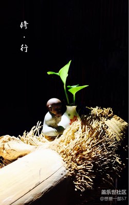 【原創(chuàng)】苦盡甘來