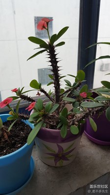 【秋的美】