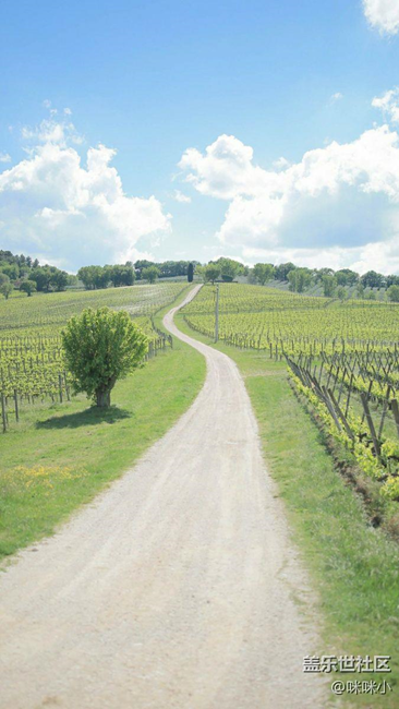 大量高逼格照片可做壁紙2k