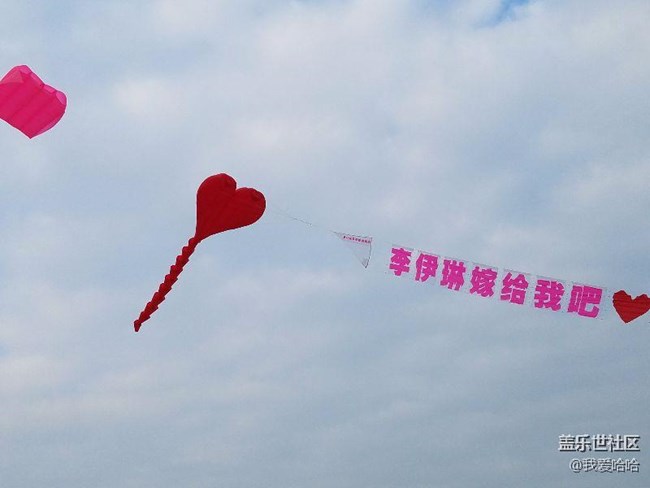 一起來廈門觀音山看風(fēng)箏吧