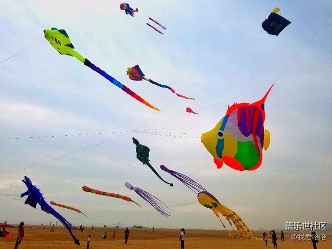 一起來廈門觀音山看風(fēng)箏吧