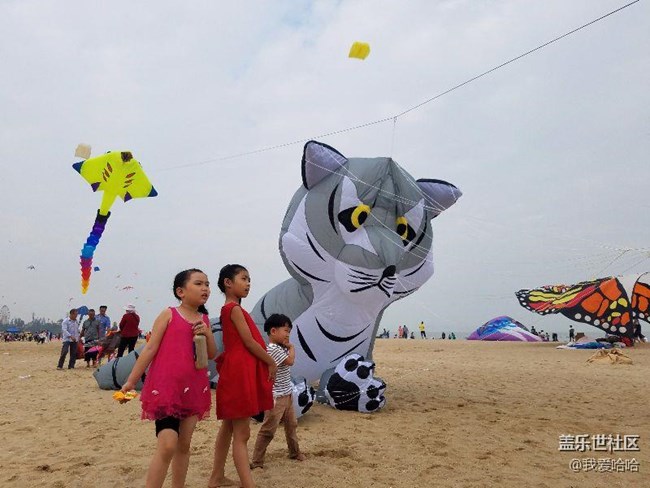 一起來廈門觀音山看風(fēng)箏吧