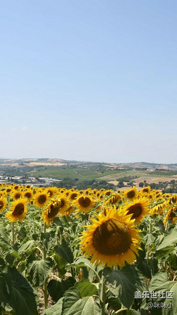 大量高逼格照片可做壁紙2k