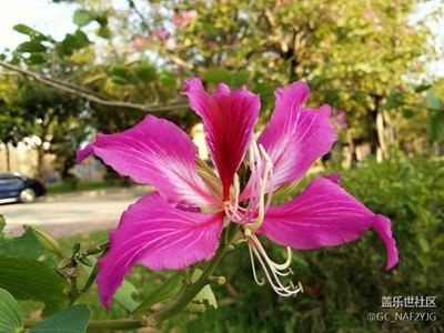 陽(yáng)光明媚的冬天