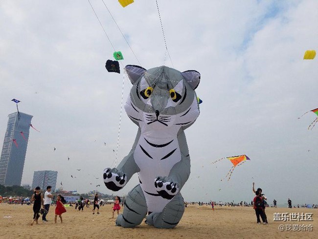 一起來廈門觀音山看風(fēng)箏吧