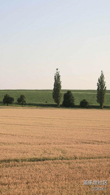 大量高逼格照片可做壁紙2k