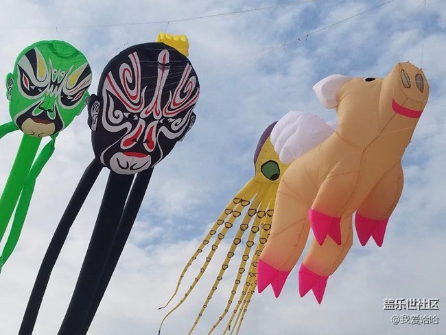 一起來廈門觀音山看風(fēng)箏吧