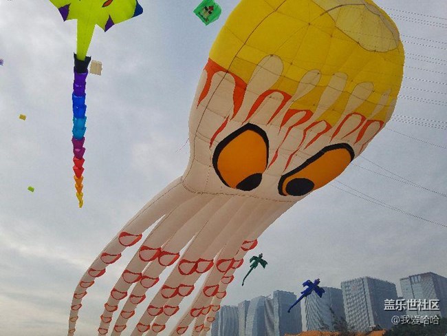 一起來廈門觀音山看風(fēng)箏吧