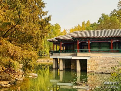 【霜葉紅于二月花】+北京+中山公園銀杏古道，潑金嵌紅的誘惑