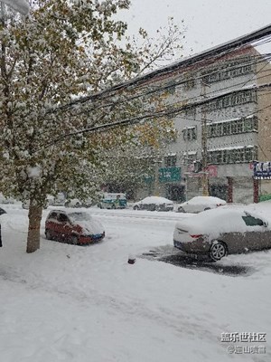 告訴你什么叫雪
